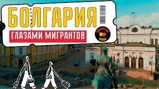 Болгария глазами мигрантов (2023) Болгарские перцы