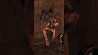 help me​ #fallout4 #bug #dogmeat #dogmemes #games #glitch​