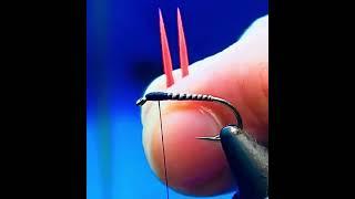 Quill Buzzer
