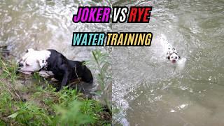 Joker vs Rye: Water Training