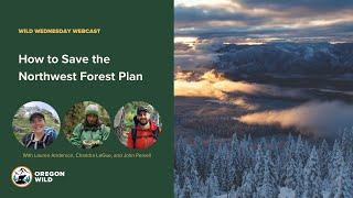 Webcast: How to Save the Northwest Forest Plan