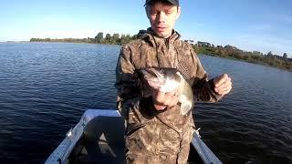 Ловля хищника c lowrance HDS  carbon