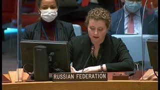 DPR Anna Evstigneeva on preventive diplomacy as the common objective to all UN principal organs