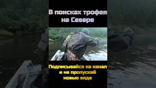 Выпал за борт с лодки! Рыбалка / Fishing /  / #shorts / Ловля щуки