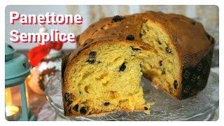 Simple panettone step by step 