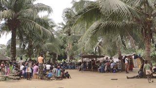 Our forest, our land: Unleashing the potential of community forests in DR Congo