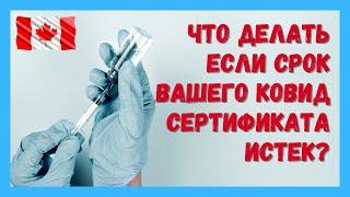 Что делать если срок действия ковидного сертификата истек?