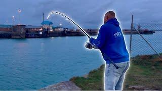 Back on the BIG DOCK️ UK Sea Fishing