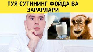 ТУЯ СУТИНИНГ ФОЙДА ВА ЗАРАРЛАРИ