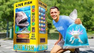 I Found a LIVE Fish Vending Machine...