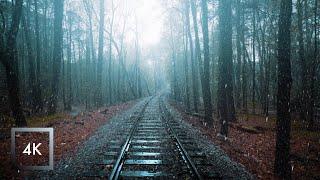 Thunderstorm Nature Walk , Binaural Rain on Umbrella Sounds for Sleep and Study, ASMR