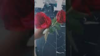 #shortvideo #salmankhan #shortvideo #tranding1 #viral #tranding #viral #videos