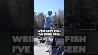 I Did NOT Expect to Catch THIS… #fishing