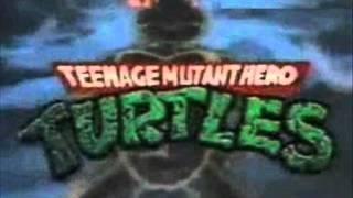 Teenage Mutant Hero Turtles (Intro)