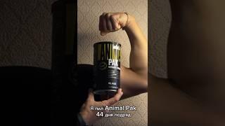 44 Дня Подряд Пил Animal Pak! Вот что вышло!