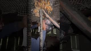 Crawlspace AC