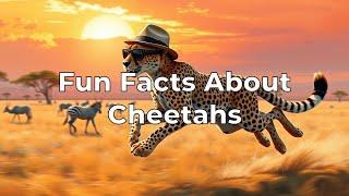 Fun Facts About Cheetahs