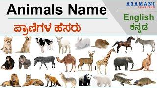 Animals Name With Kannada Meaning - ಪ್ರಾಣಿಗಳ ಹೆಸರು | Learn English