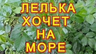 Деревенский дневник очень многодетной мамы / Обзор / Хочет на море.