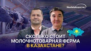 Молочная отрасль в Казахстане: прибыльный бизнес с дорогим входным билетом | Сансызбай Умирбеков