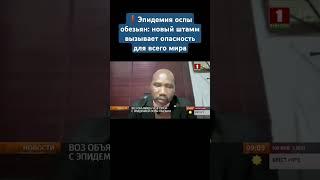 ВОЗ объявила ЧС в связи с эпидемией оспы обезьян: новый штамм вызывает опасность для всего мира