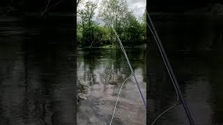 Fly Fishing East Tennessee’s Stunning South Holston River