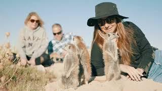 Africa's Meerkat Encounter - Travel Beyond