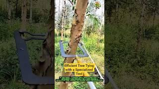 Efficient Tree Tying with a Specialized Tool