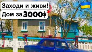  Заходи и живи! Дом в селе за 3000$ Продажа недвижимости за копейки! Всё есть Уютное тихое село!