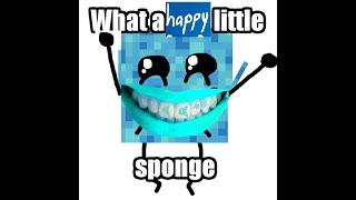 what a happy little sponge