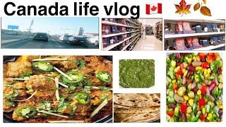 Pakistani Mom Life In Canada  My Daily Routine Vlog 