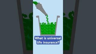 What is universal life insurance?