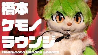 橋本ケモノラウンジ ~ Hashimoto Kemono Lounge ~