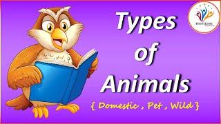 Domestic Animals | Pet Animals | Wild Animals | Brighteaching