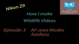 Wildlife Video Tutorial using the Nikon Z9:  Episode: 3 - AF-area Modes and Autofocus