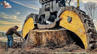 The Most Dangerous Machines | Discovery of Chainsaw, Wood Chipper, Monster Stump Removal Excavator