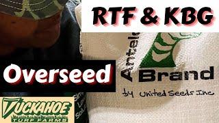 Fall Overseeding With RTF & KBG