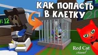 Баг Как попасть в клетку. Симулятор пчеловода | Bee Swarm Simulator roblox | Новый мишка + код