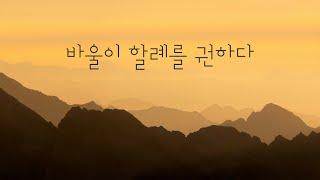 [잠깐묵상] 사도행전 16장 | 바울이 할례를 권하다 | 성경통독 | QT