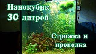 Стрижка и прополка аквариумных растений #Нанокубик_30L