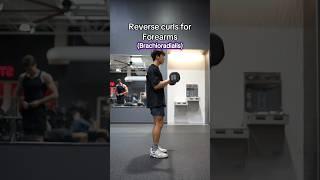 Reverse Curls vs Hammer Curls for Forearms Growth