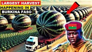 CONGRATULATIONS TO IBRAHIM TRAORE ON BURKINA FASO’S LARGEST HARVEST IN ITS HISTORY.