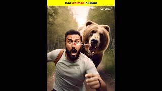 Bad Animal in Islam | Ehtisham Speaks #shortsfeed #viral #shorys