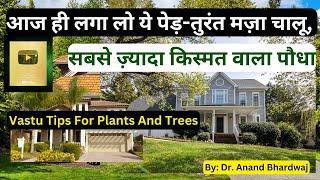 Vastu Shastra, ये पेड़-पौधे, लगा लो दक्षिण व पश्चिम में, Vastu Tips for Plants and Trees, lucky Trees