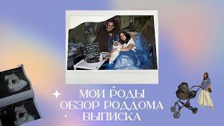 МОИ РОДЫ  ОБЗОР ВИП ПАЛАТЫ ЗА 350.000 руб  ВЫПИСКА ИЗ РОДДОМА