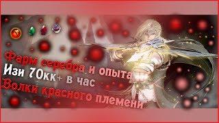 Black desert online. Селение красных волков. Изи фарм 70кк+