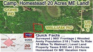 Cheap Land In Maine Video | Low Cost Northern Maine Land MOOERS REALTY 9065