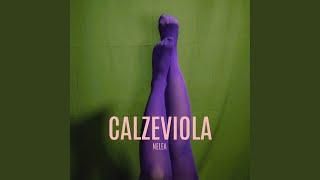 Calze viola