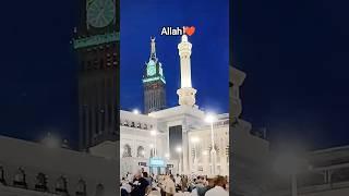 Allah Quran urdu translation  arzoo 
