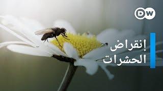 وثائقي | الحشرات على طريق الانقراض | وثائقية دي دبليو